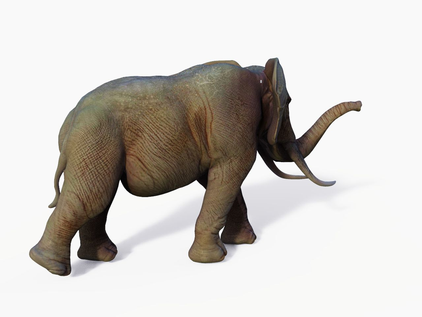 african elephant 3D model https://p.turbosquid.com/ts-thumb/De/JDAho1/BIU20cdL/0/jpg/1548938804/1920x1080/turn_fit_q99/e1b17cf0bea2342c6cb947701fffbd102e01259d/0-1.jpg