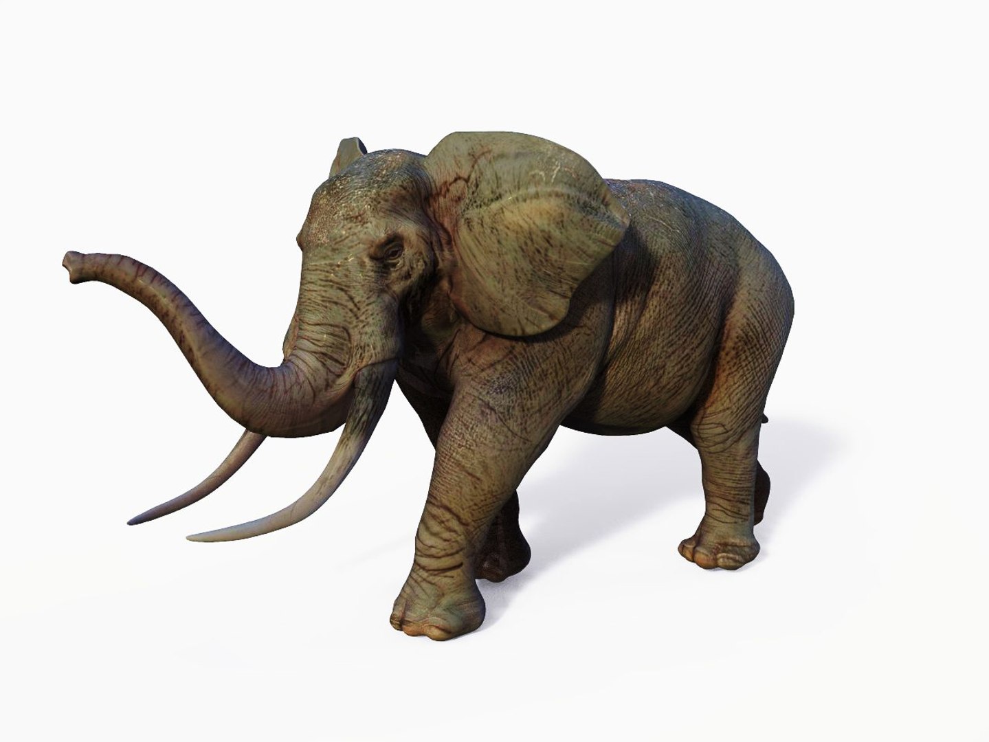 african elephant 3D model https://p.turbosquid.com/ts-thumb/De/JDAho1/fD9l09q2/0_9/jpg/1548940376/1920x1080/fit_q87/166c2827d0f891f1ccb117f282a5c2c7555f6cce/0_9.jpg