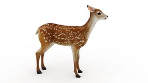 3D flower deer