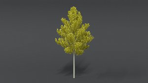 3D tree cartoon style