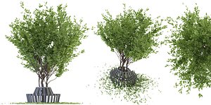 Collection plant vol 106 - blender 3D model
