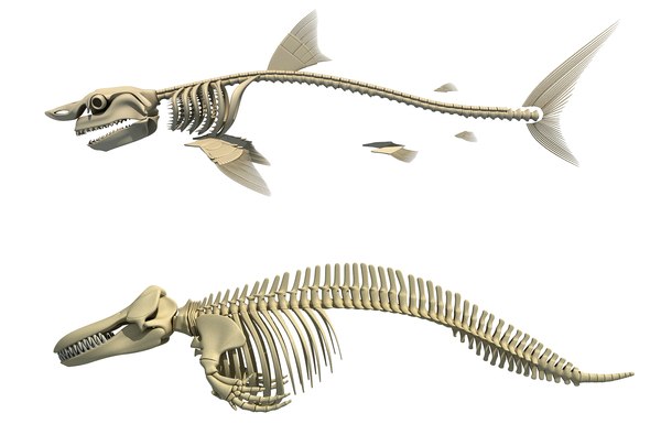 Shark jaw isolated on black background: изображения без лицензионных платежей