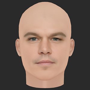 3D Low Poly Matt Damon Head