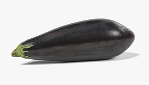 3d model of eggplant solanum melongena