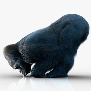Gorilla 3 RIG XGEN-CORE 3D model