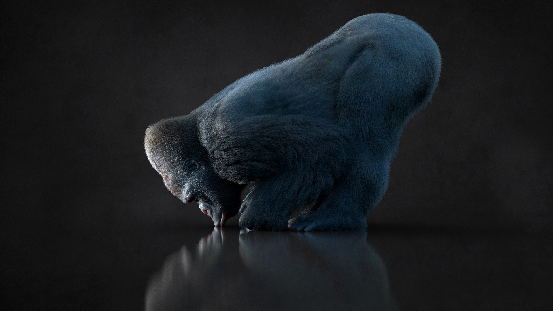 Gorilla 3 RIG XGEN-CORE 3D model https://p.turbosquid.com/ts-thumb/Df/26UQ7C/Ms/08/jpg/1753414841/1920x1080/fit_q87/a57b7203d8f0f4df248b166b1ad9cf6b248077de/08.jpg