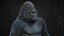 Gorilla 3 RIG XGEN-CORE 3D model