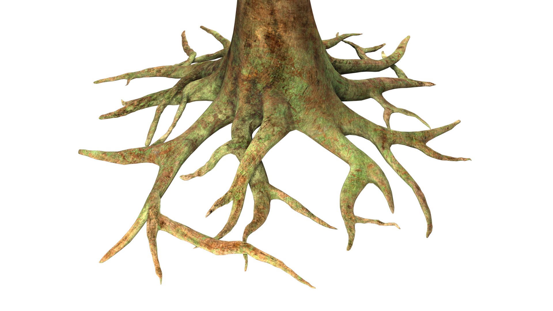 3D Table Roots Model - TurboSquid 2160437