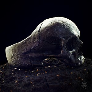 3D silver ring model