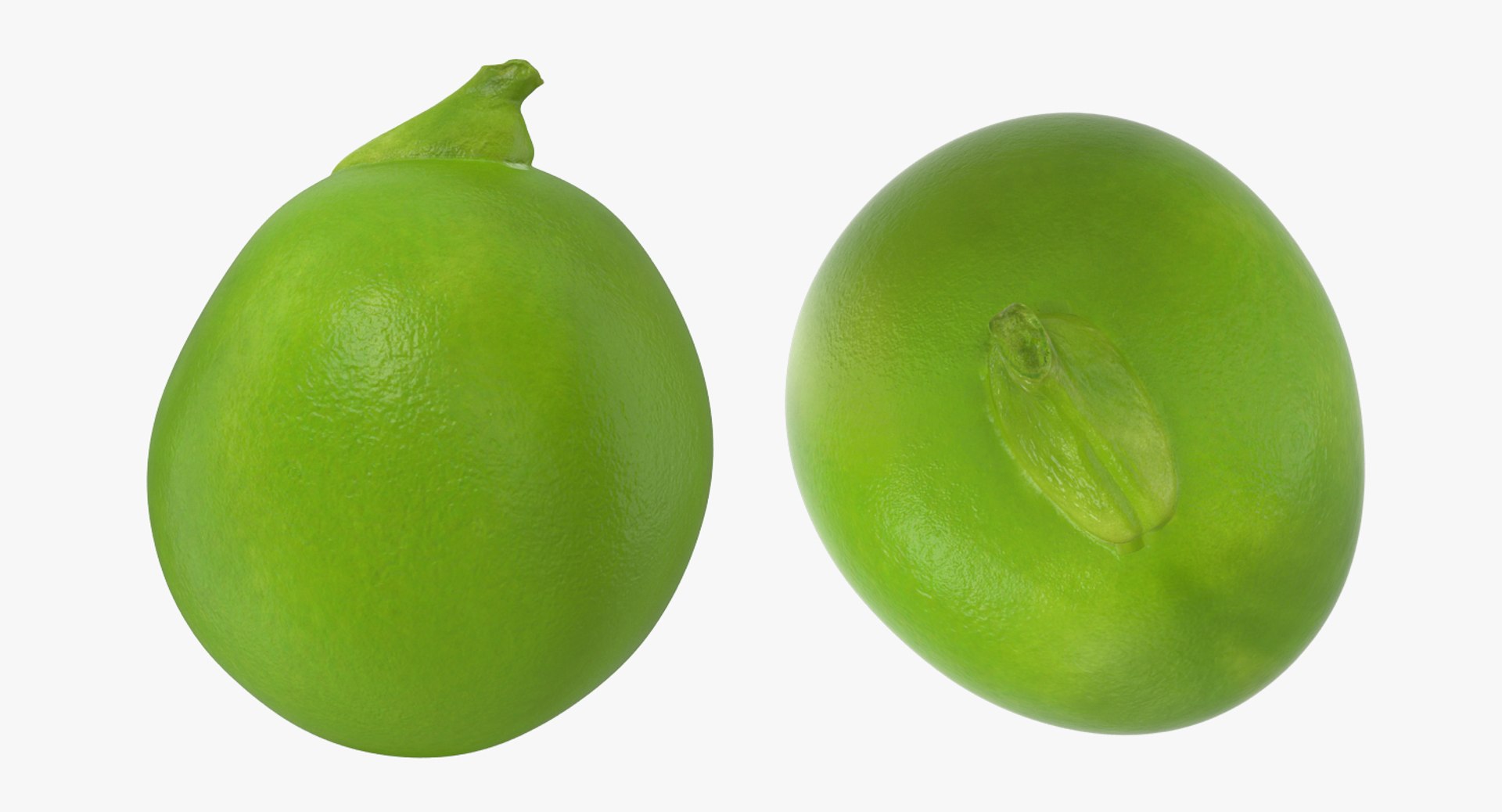 single green pea 3D model https://p.turbosquid.com/ts-thumb/Df/GWOERQ/dpkKd0ZA/singlegreenpea3dsmodel005/jpg/1511348805/1920x1080/fit_q87/fe26385e41c1eaa395a270911d4bdc0b47354bd6/singlegreenpea3dsmodel005.jpg