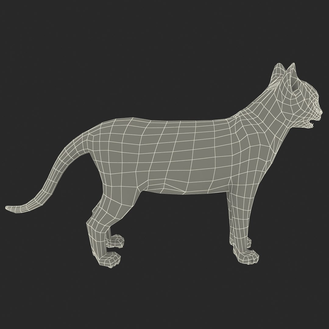 3ds cat 3 https://p.turbosquid.com/ts-thumb/Df/IPlXy9/AjYZ2R6d/cat3_21/jpg/1374105148/1920x1080/fit_q87/adc0159a4ce6562b9bf980dbc5c3d543e9d1d332/cat3_21.jpg