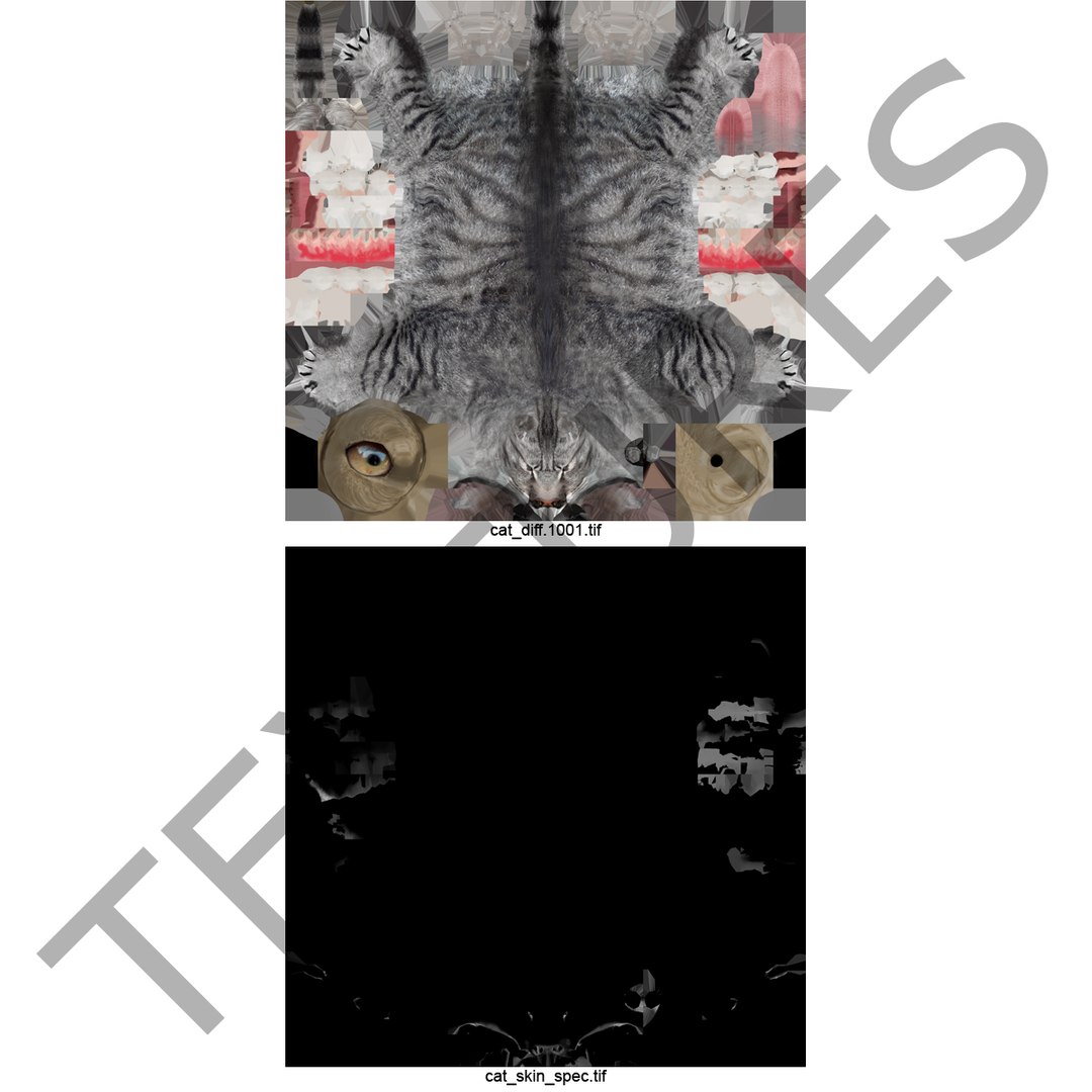 3ds cat 3 https://p.turbosquid.com/ts-thumb/Df/IPlXy9/QTafddOX/cat3_4/jpg/1374105094/1920x1080/fit_q87/b52f9c5b1b4e49a9b4a8fce7a42c927ec3d0761d/cat3_4.jpg
