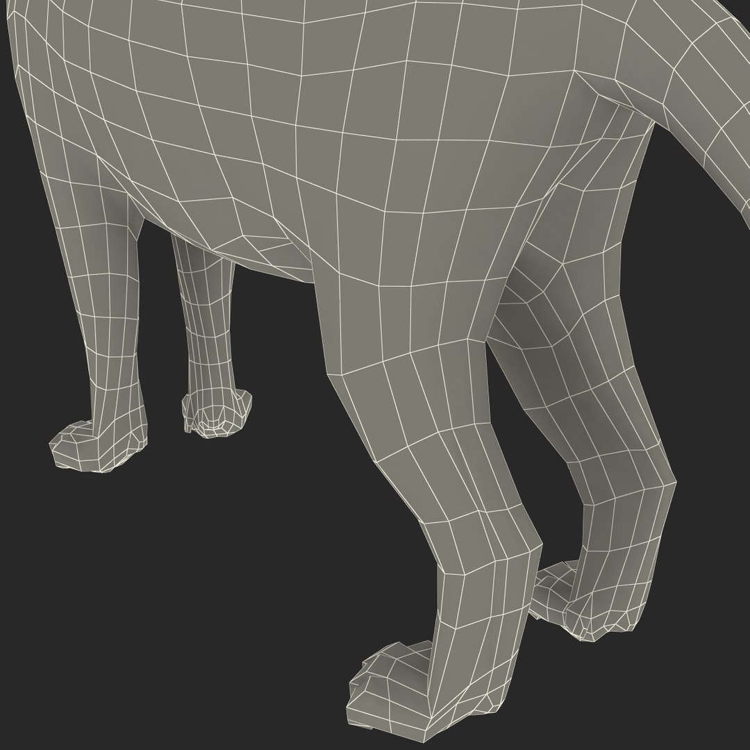 3ds cat 3 https://p.turbosquid.com/ts-thumb/Df/IPlXy9/RtGsYNPi/cat3_27/jpg/1374105172/1920x1080/fit_q87/71c583e3faeaf9320df5f85432a4b512657db180/cat3_27.jpg