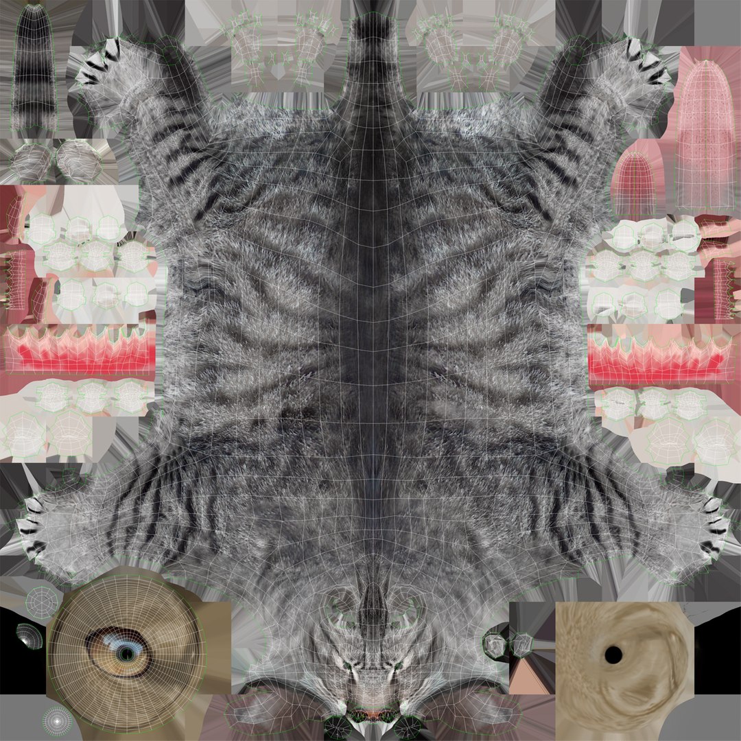 3ds cat 3 https://p.turbosquid.com/ts-thumb/Df/IPlXy9/fkaNKJWD/cat3_3/jpg/1374105085/1920x1080/fit_q87/50d55fb38b22a531f2598ebbb1a341a6149164cd/cat3_3.jpg
