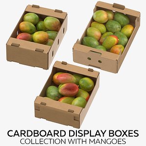 cardboard display boxes mangoes 3D