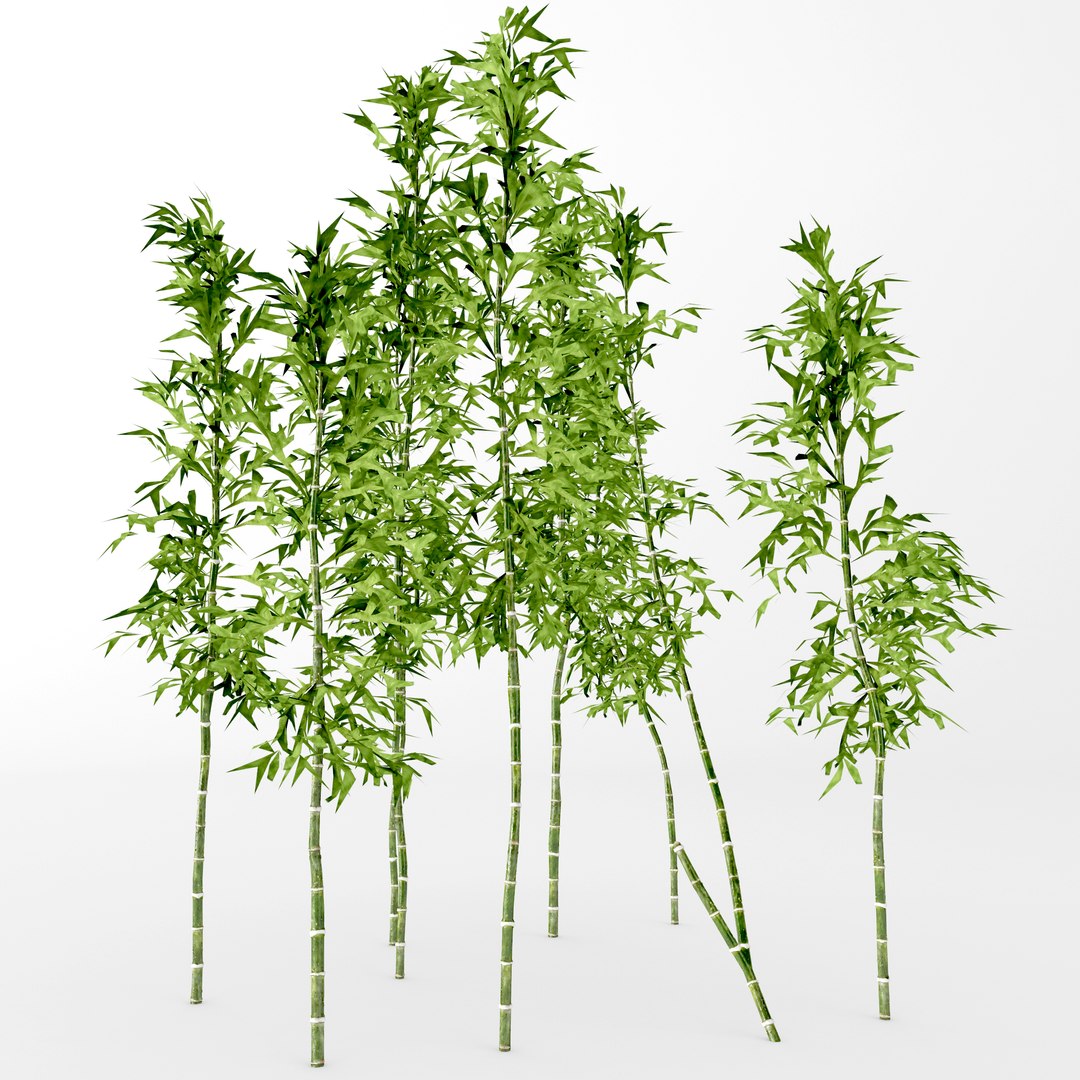 3D model bamboo - TurboSquid 1338237