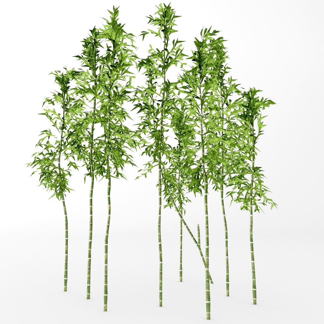 3D model bamboo - TurboSquid 1338237