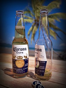 3d corona extra beer model