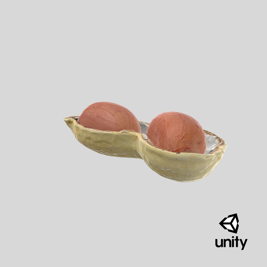 Open Peanut Shell with Kernels 3D model https://p.turbosquid.com/ts-thumb/Df/q7ta0R/4P/stemcell_unity_render/png/1665126986/1920x1080/fit_q87/535d5e2967969f19ee31fa76b32d82bf9be6e95e/stemcell_unity_render.jpg