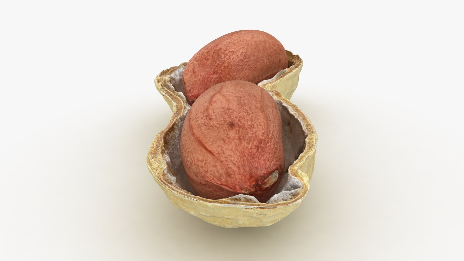 Open Peanut Shell with Kernels 3D model https://p.turbosquid.com/ts-thumb/Df/q7ta0R/BP/peanutshellcut_kernel_2_b0012/jpg/1663180657/1920x1080/fit_q87/6db441190b1ea5159d18c021506ed6b64561e3fd/peanutshellcut_kernel_2_b0012.jpg