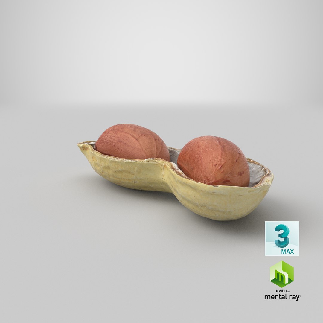 Open Peanut Shell with Kernels 3D model https://p.turbosquid.com/ts-thumb/Df/q7ta0R/Ca/stemcell_max_mental_ray_render/png/1665126990/1920x1080/fit_q87/79920f60c49447dff36e443db125be0b3abc1f77/stemcell_max_mental_ray_render.jpg