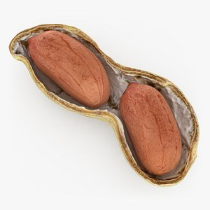 Open Peanut Shell with Kernels
