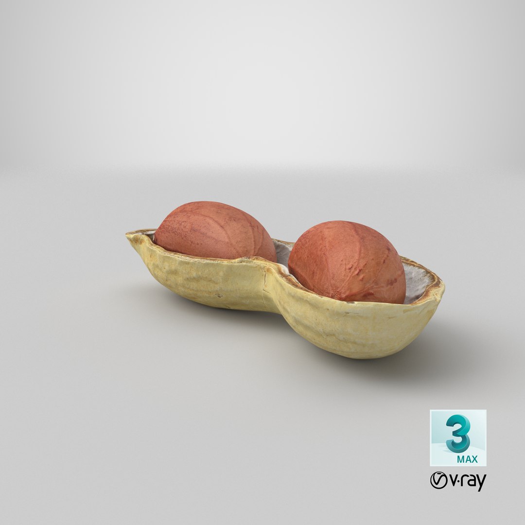Open Peanut Shell with Kernels 3D model https://p.turbosquid.com/ts-thumb/Df/q7ta0R/Kt/stemcell_max_vray_render/png/1665126992/1920x1080/fit_q87/29f050af3f7534378cc581d933aa9946607b8e86/stemcell_max_vray_render.jpg