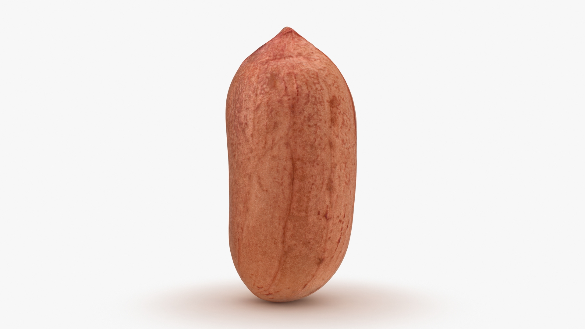 Open Peanut Shell with Kernels 3D model https://p.turbosquid.com/ts-thumb/Df/q7ta0R/pK/peanutkernel_2/jpg/1663181177/1920x1080/turn_fit_q99/0e3aa13c2954d6bd1e0950049fdeea56934870dc/peanutkernel_2-1.jpg