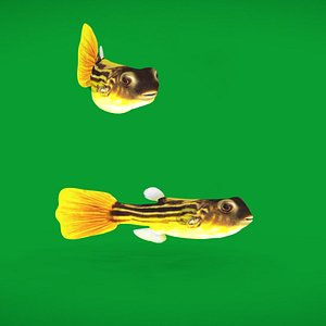 3D Fahaka Nile Pufferfish model