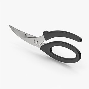 3D Kitchen Scissors