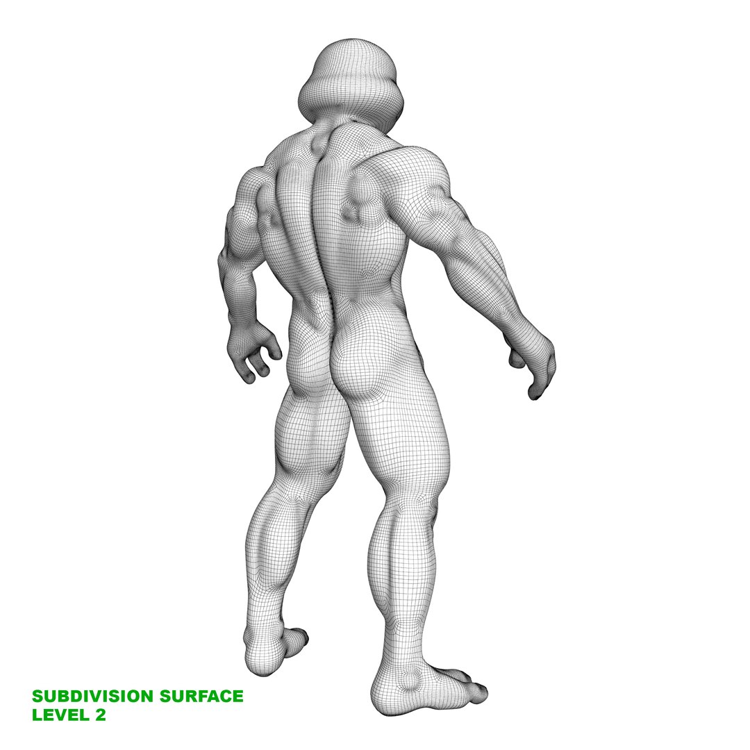 TMNT Ninja Turtles Leonardo 3D model https://p.turbosquid.com/ts-thumb/Df/zCXHv4/dp/tmnt_raphael_wire_0095/jpg/1713611016/1920x1080/fit_q87/0701973b0dab42a5c65cf5d779fd6c6bbecb0a88/tmnt_raphael_wire_0095.jpg