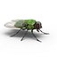 insects big 3 rigged model