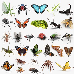 Insects Big Collection 3 Rigged for Cinema 4D