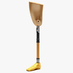 Prosthetic Leg 2