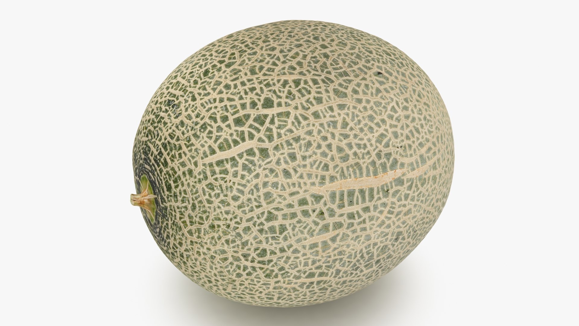 3D Green Melon https://p.turbosquid.com/ts-thumb/Dg/6bIokl/6B/greenmelon_b0014/jpg/1650647029/1920x1080/fit_q87/fc70bcde5f584b66095a000da1740b44ab72c696/greenmelon_b0014.jpg