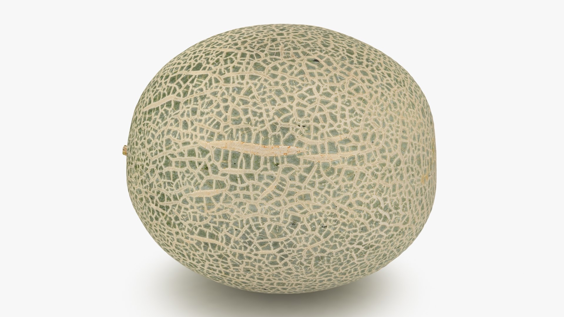 3D Green Melon https://p.turbosquid.com/ts-thumb/Dg/6bIokl/6D/greenmelon_b0000/jpg/1650647047/1920x1080/fit_q87/bffda515443bd6632b77ba8fc232d7dfdda4d54f/greenmelon_b0000.jpg