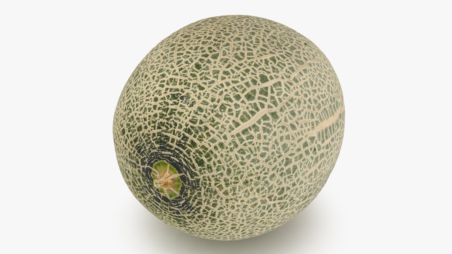 3D Green Melon https://p.turbosquid.com/ts-thumb/Dg/6bIokl/8x/greenmelon_b0018/jpg/1650647034/1920x1080/fit_q87/ccb15a5dea4b7605116c36fc932331948f438141/greenmelon_b0018.jpg