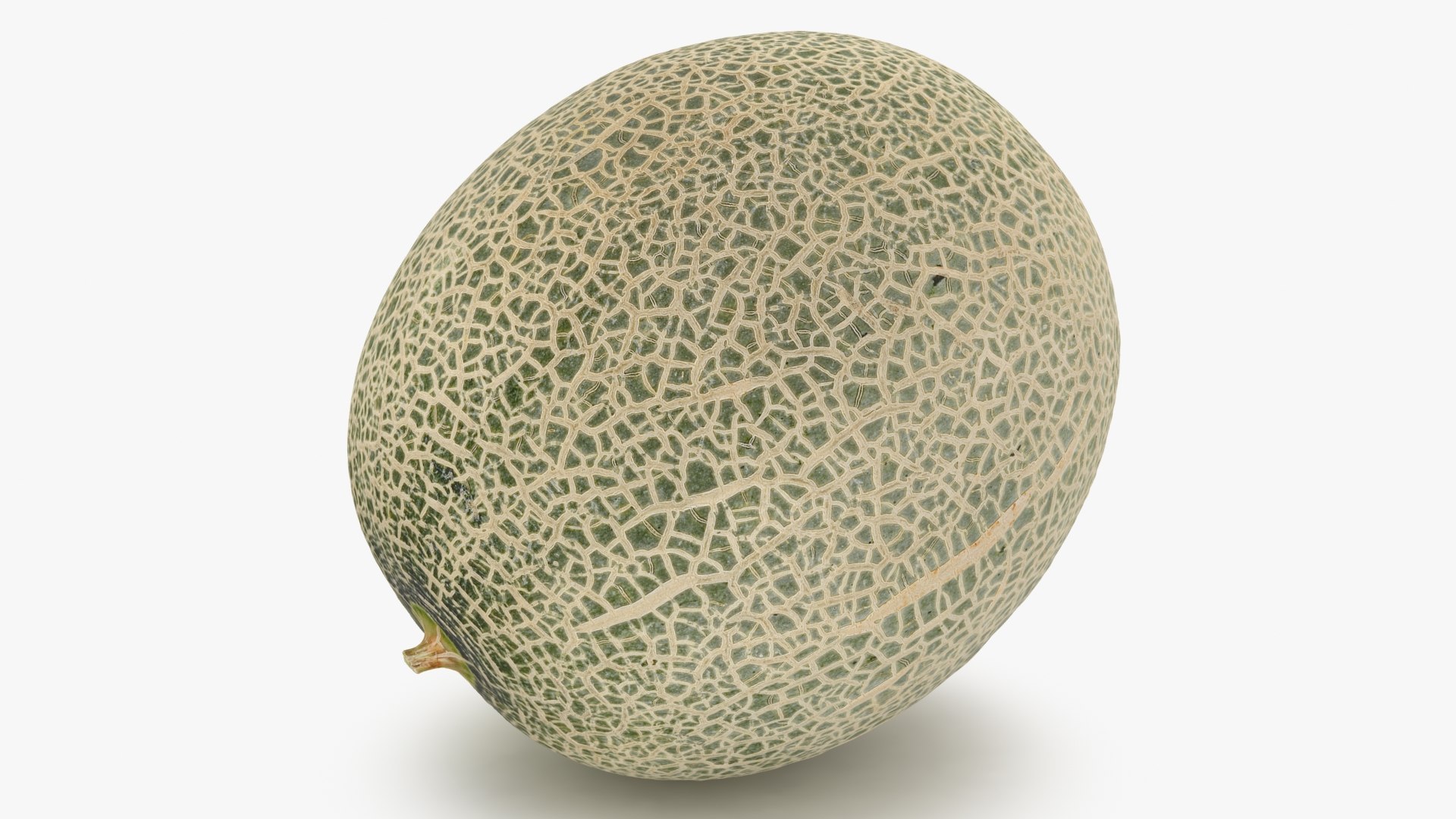 3D Green Melon https://p.turbosquid.com/ts-thumb/Dg/6bIokl/Cg/greenmelon_b0023/jpg/1650647049/1920x1080/fit_q87/a8f875b0362e5239cbee8433eb5798c98eb814a6/greenmelon_b0023.jpg