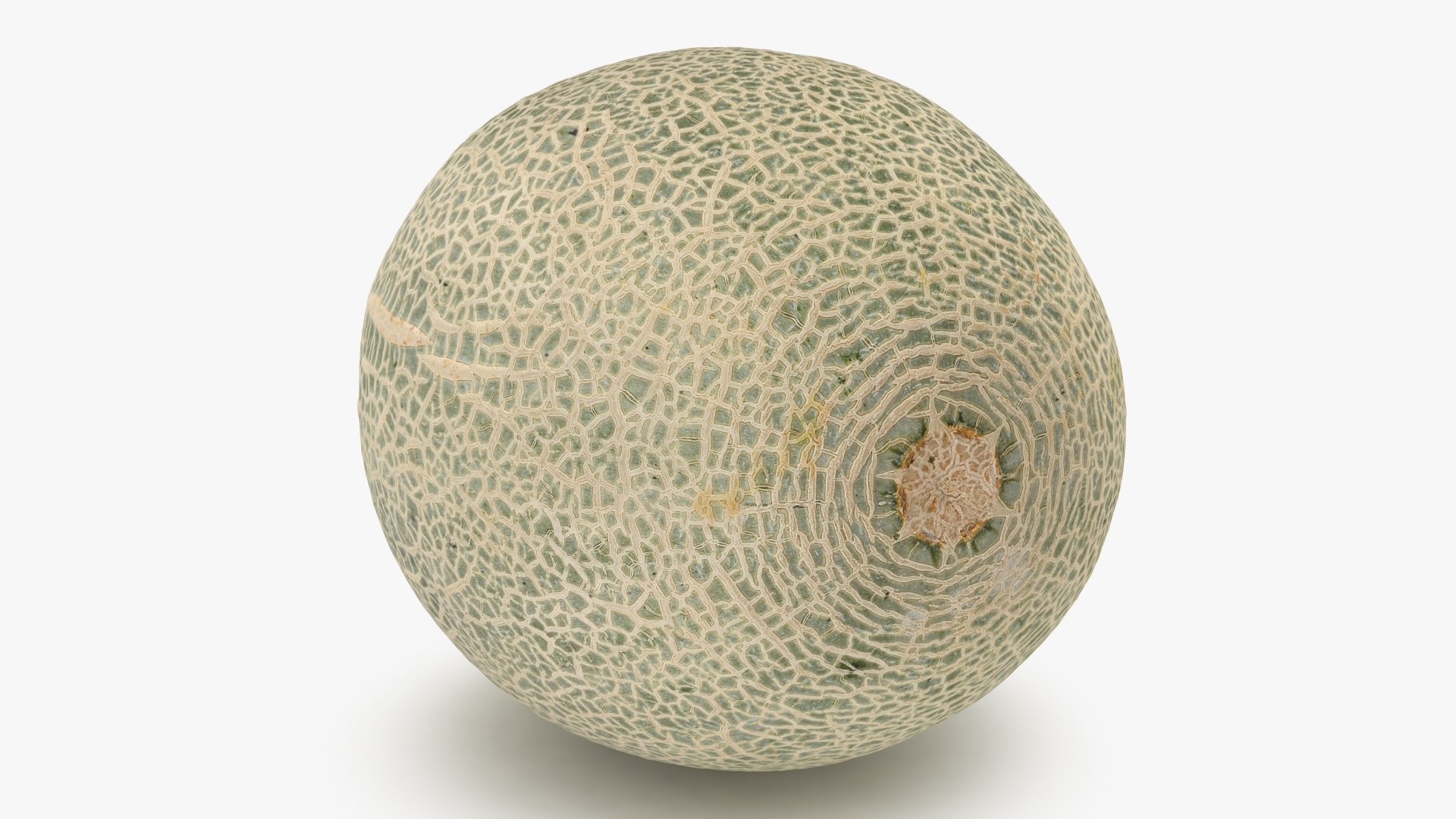 3D Green Melon https://p.turbosquid.com/ts-thumb/Dg/6bIokl/Kj/greenmelon_b0016/jpg/1650647031/1920x1080/fit_q87/235741a494ffa2a2c43d10f9c53519079d366380/greenmelon_b0016.jpg