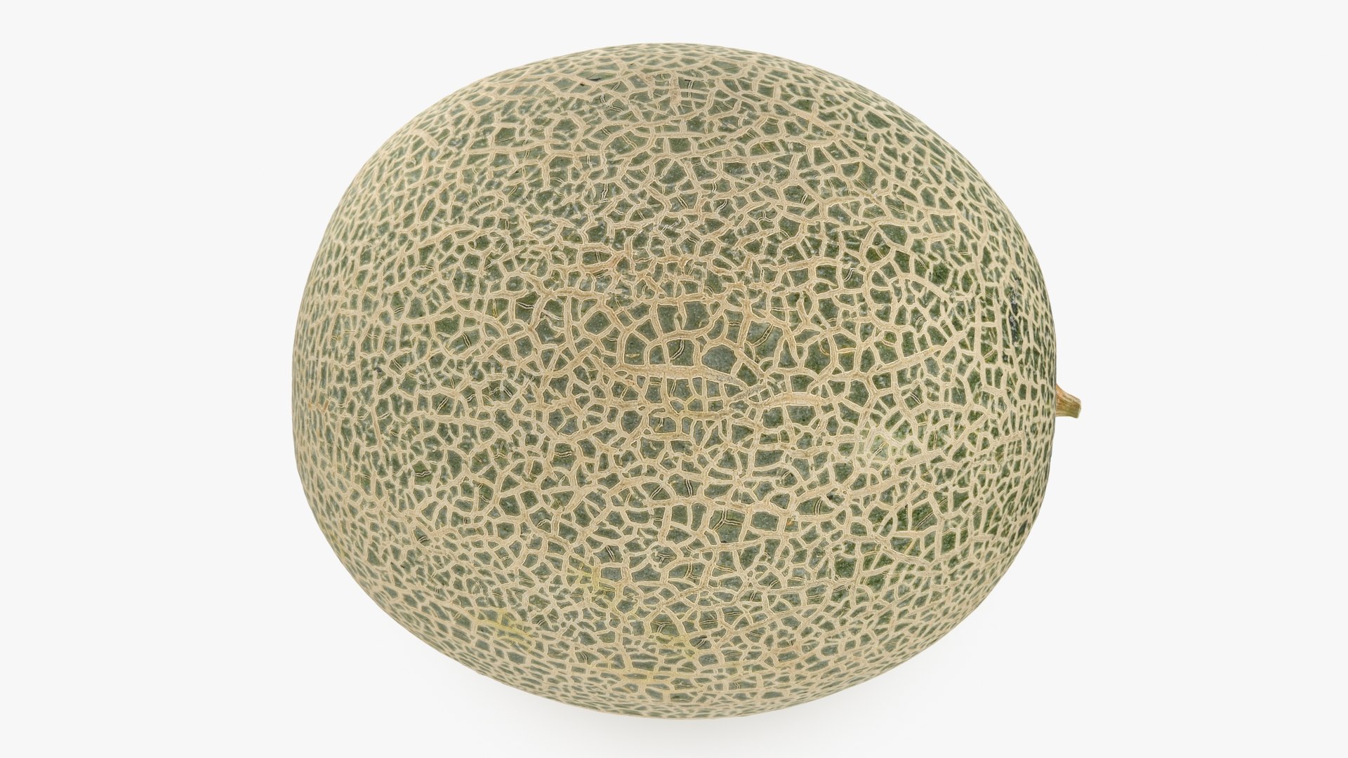 3D Green Melon https://p.turbosquid.com/ts-thumb/Dg/6bIokl/Lt/greenmelon_b0020/jpg/1650647143/1920x1080/fit_q87/ac9a03fe145f04fcce1a694fad87003ae8bb0d10/greenmelon_b0020.jpg