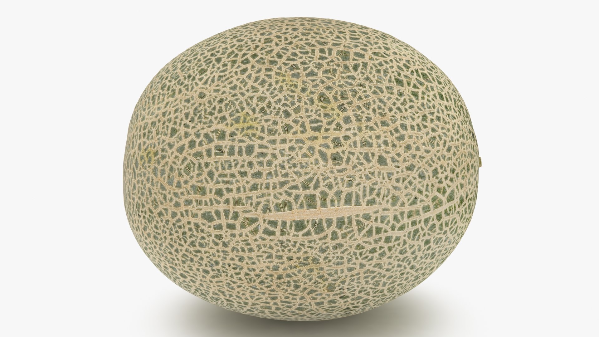 3D Green Melon https://p.turbosquid.com/ts-thumb/Dg/6bIokl/UP/greenmelon_b0008/jpg/1650647146/1920x1080/fit_q87/c4e0ddde35dd349acae72b93308eba7ba65c18c8/greenmelon_b0008.jpg