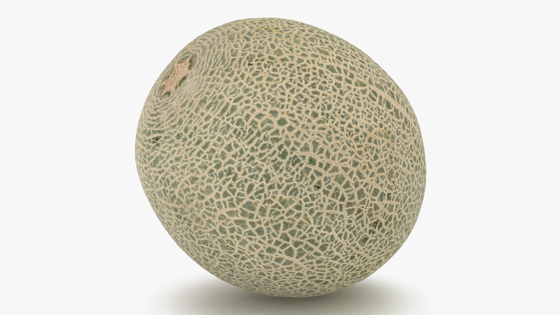 3D Green Melon https://p.turbosquid.com/ts-thumb/Dg/6bIokl/cJ/greenmelon_b0024/jpg/1650647051/1920x1080/fit_q87/a30af6c104956e3460f88debac2948c45ba8116a/greenmelon_b0024.jpg