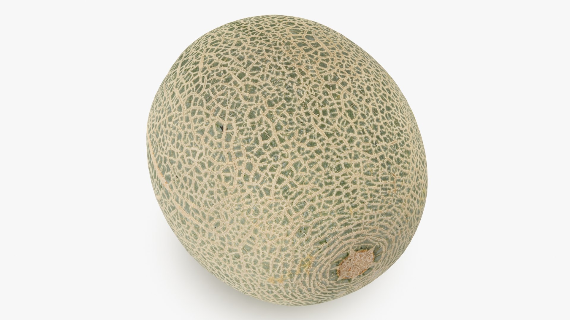 3D Green Melon https://p.turbosquid.com/ts-thumb/Dg/6bIokl/g7/greenmelon_b0012/jpg/1650647012/1920x1080/fit_q87/09ae761dd166cb489f3e0b57e94f78e57e2b6deb/greenmelon_b0012.jpg
