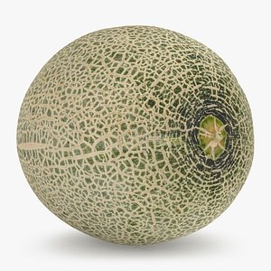 3D Green Melon
