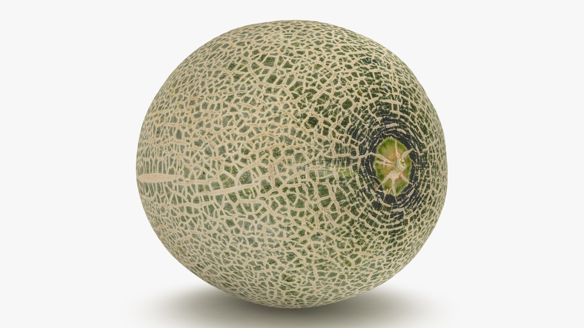 3D Green Melon https://p.turbosquid.com/ts-thumb/Dg/6bIokl/ne/greenmelon_b0006/jpg/1650647134/1920x1080/fit_q87/2810728d1b1401b98ea51d7cf29ffa5f4d6d406b/greenmelon_b0006.jpg