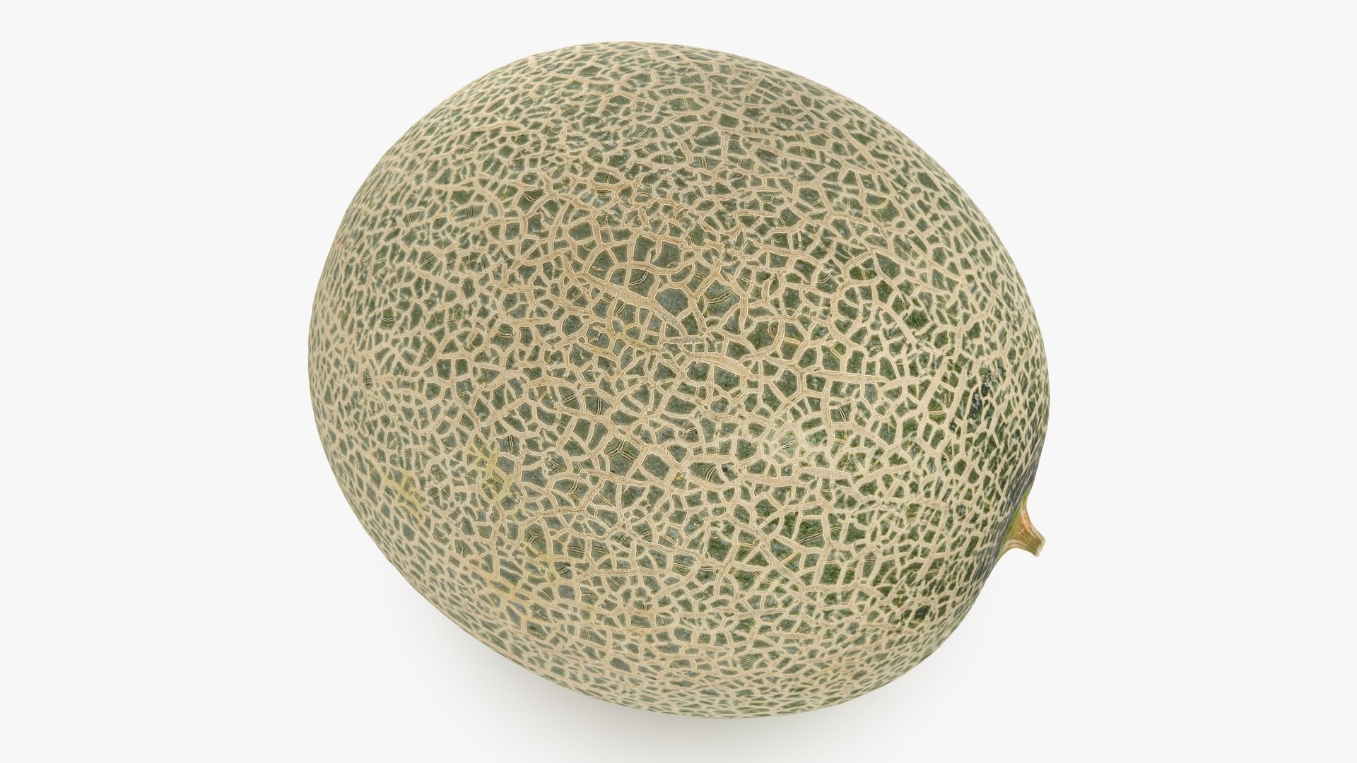 3D Green Melon https://p.turbosquid.com/ts-thumb/Dg/6bIokl/rp/greenmelon_b0004/jpg/1650647134/1920x1080/fit_q87/b03911f9ca0989c5a7b05b12a58329fe62f4fd33/greenmelon_b0004.jpg