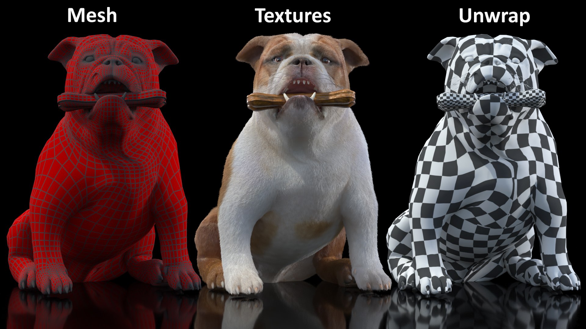 Bulldog With A Chewing Bone In His Mouth Fur 3D Model - TurboSquid 2252286