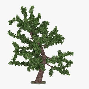 Cherry Tree 3D model