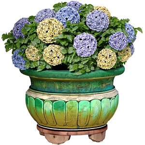 Hydrangea flowers in vase pot planter for decorating the porch 3D model 3D