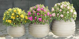 collection flowering bush vol 16-Blender 3D model